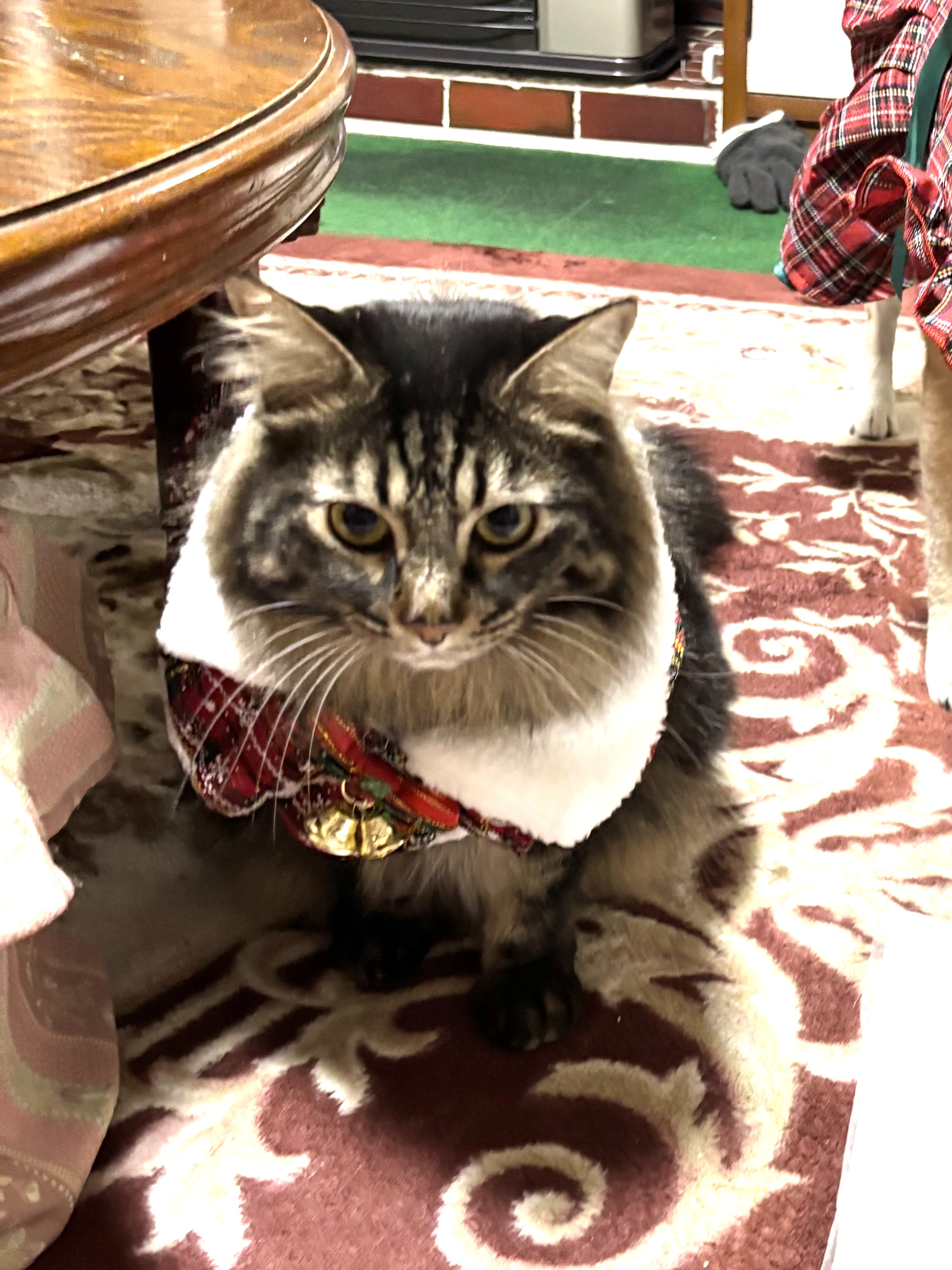 素敵なクリスマスを