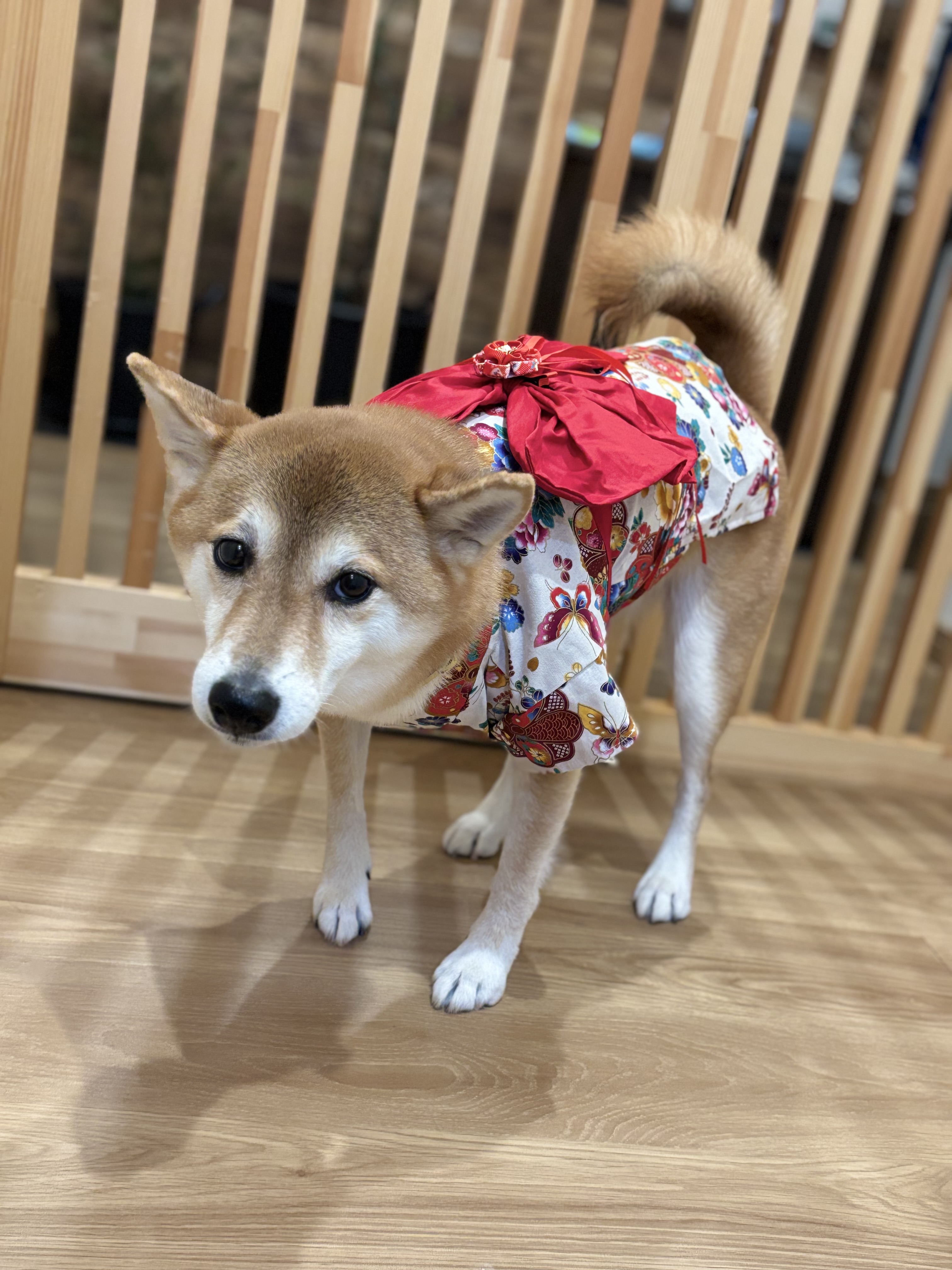 今年もブログ頑張りまち‼