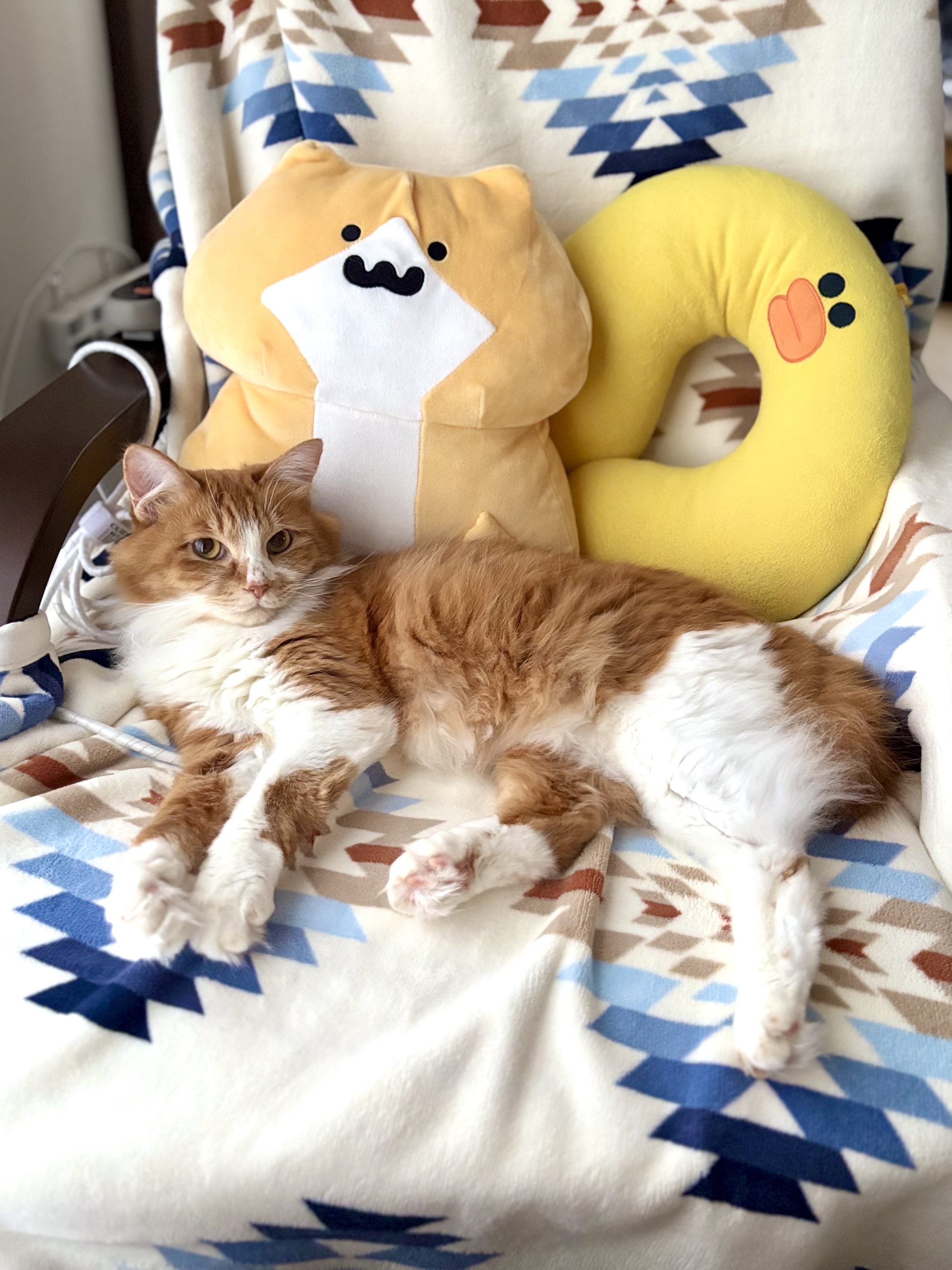 のんびり過ごすのが一番だにゃ