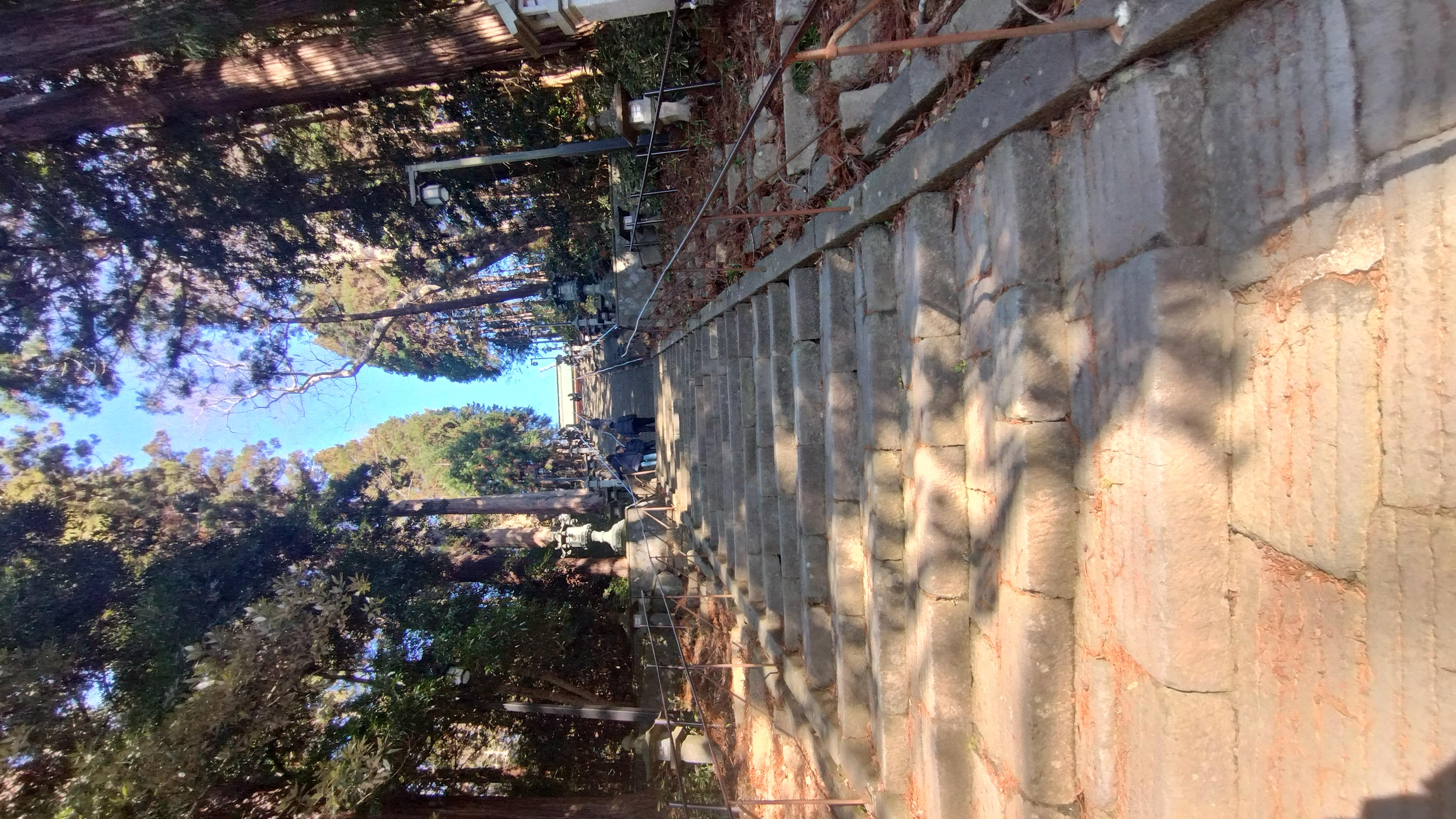 2025年12月 快晴<br>左ひざに痛みを感じた。でも弱音は吐かない。<br>全ては自分が招いた結果だ。<br>肝に銘じて2026年は丁寧に生きる。